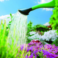 Verwöhnen Sie Ihre Pflanzen mit Premiumwasser