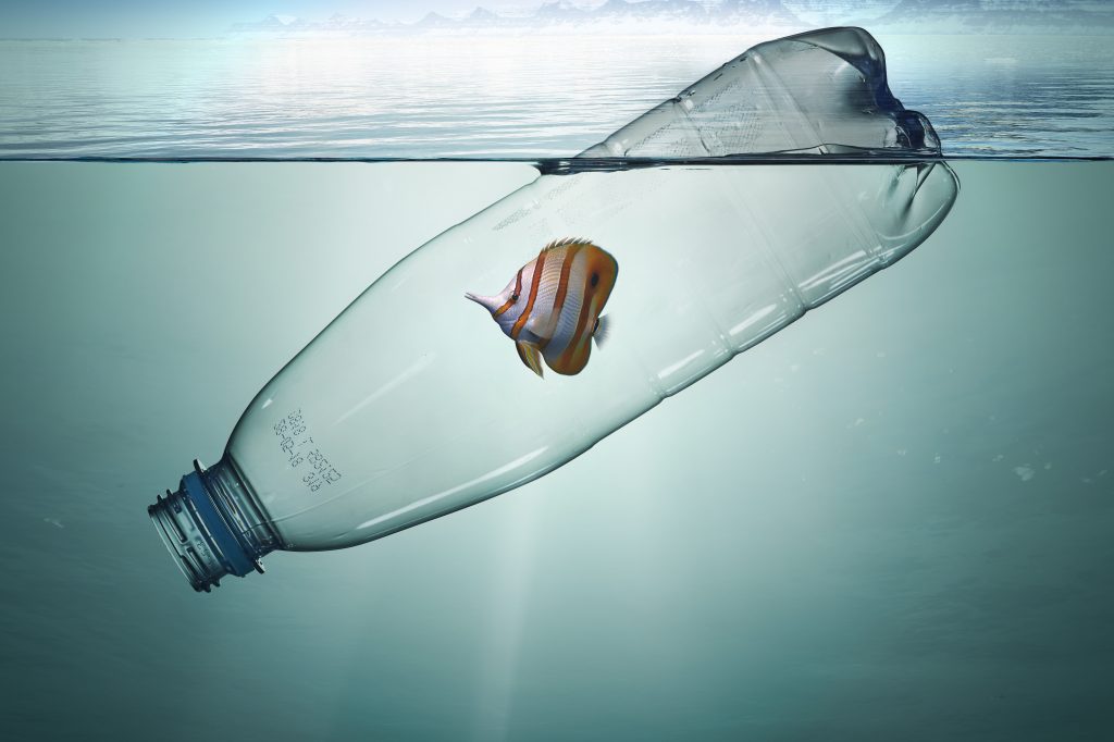Plastic bottle with fish, pollution that floats in the ocean H.Preiss
