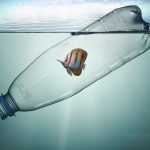 Plastic bottle with fish, pollution that floats in the ocean