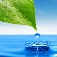 Leitungswasser als Trinkwasser: umweltfreundlich und sparsam